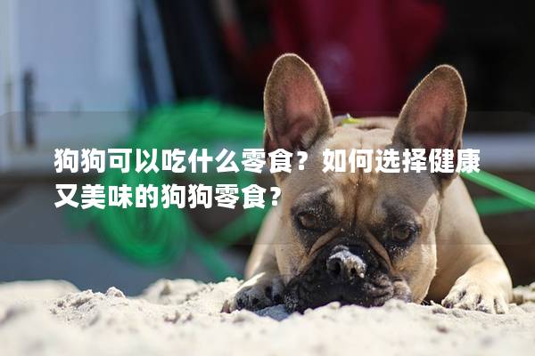 狗狗可以吃什么零食？如何选择健康又美味的狗狗零食？