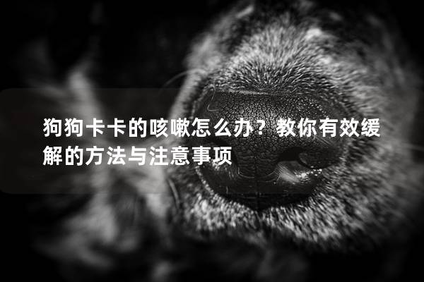 狗狗卡卡的咳嗽怎么办？教你有效缓解的方法与注意事项