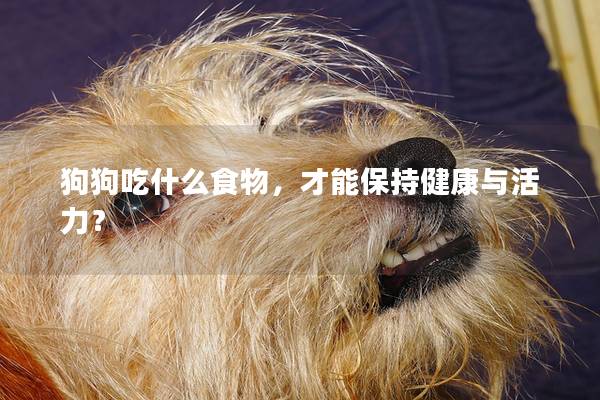 狗狗吃什么食物，才能保持健康与活力？