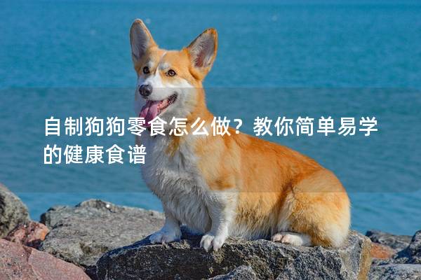 自制狗狗零食怎么做？教你简单易学的健康食谱