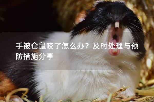 手被仓鼠咬了怎么办？及时处理与预防措施分享