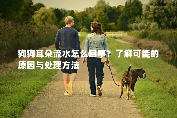 狗狗耳朵流水怎么回事？了解可能的原因与处理方法