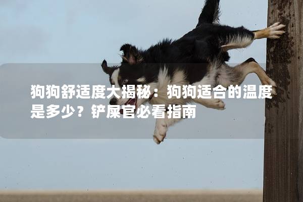 狗狗舒适度大揭秘:狗狗适合的温度是多少?铲屎官必看指南 狗狗舒适度大揭秘:狗狗适合的温度是多少?铲屎官必看指南