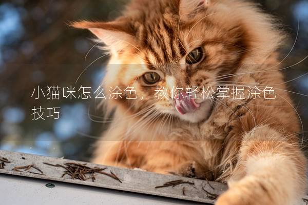 小猫咪怎么涂色,教你轻松掌握涂色技巧 小猫咪怎么涂色,教你轻松掌握涂色技巧