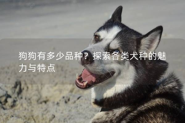 狗狗有多少品种?探索各类犬种的魅力与特点 狗狗有多少品种?探索各类犬种的魅力与特点