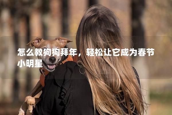 怎么教狗狗拜年，轻松让它成为春节小明星
