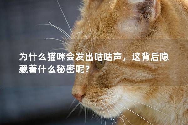 为什么猫咪会发出咕咕声，这背后隐藏着什么秘密呢？