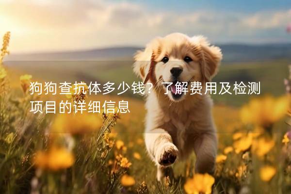 狗狗查抗体多少钱?了解费用及检测项目的详细信息 狗狗查抗体多少钱?了解费用及检测项目的详细信息