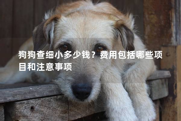 狗狗查细小多少钱？费用包括哪些项目和注意事项