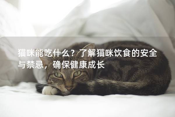 猫咪能吃什么？了解猫咪饮食的安全与禁忌，确保健康成长