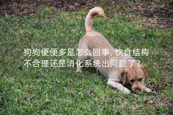 狗狗便便多是怎么回事, 饮食结构不合理还是消化系统出问题了？