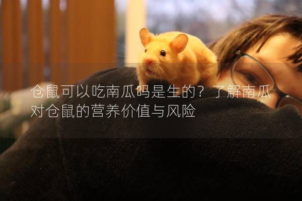 仓鼠可以吃南瓜吗是生的？了解南瓜对仓鼠的营养价值与风险