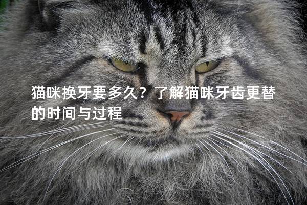 猫咪换牙要多久？了解猫咪牙齿更替的时间与过程
