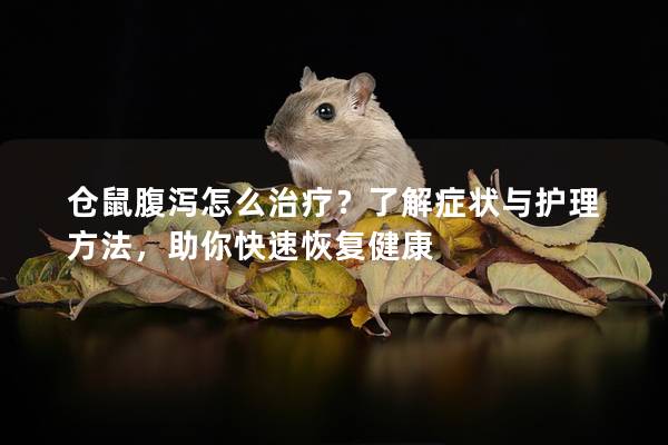 仓鼠腹泻怎么治疗？了解症状与护理方法，助你快速恢复健康