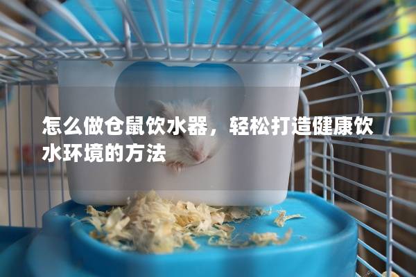 怎么做仓鼠饮水器，轻松打造健康饮水环境的方法