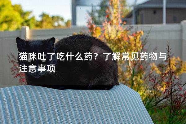 猫咪吐了吃什么药？了解常见药物与注意事项