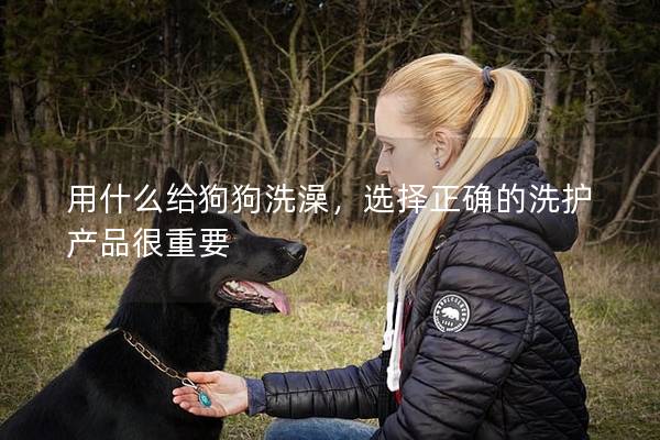 用什么给狗狗洗澡，选择正确的洗护产品很重要