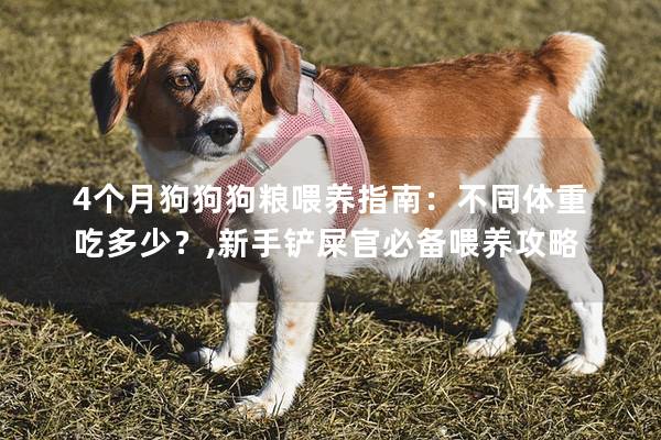 4个月狗狗狗粮喂养指南：不同体重吃多少？,新手铲屎官必备喂养攻略