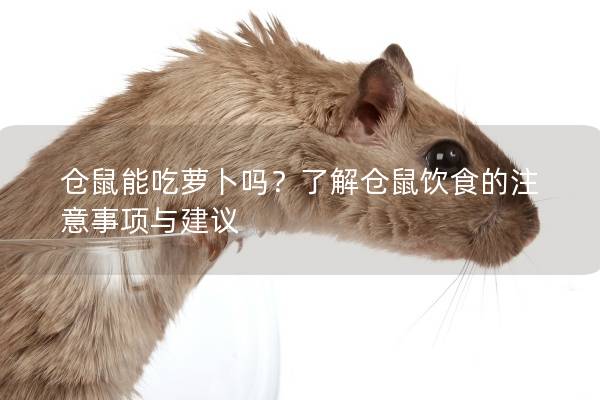仓鼠能吃萝卜吗?了解仓鼠饮食的注意事项与建议 仓鼠能吃萝卜吗?了解仓鼠饮食的注意事项与建议