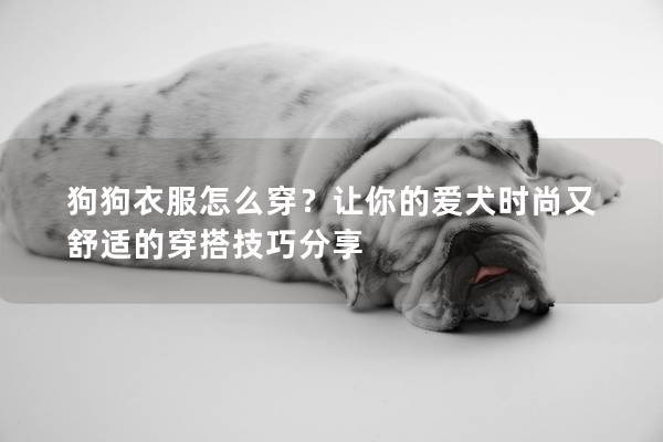 狗狗衣服怎么穿？让你的爱犬时尚又舒适的穿搭技巧分享