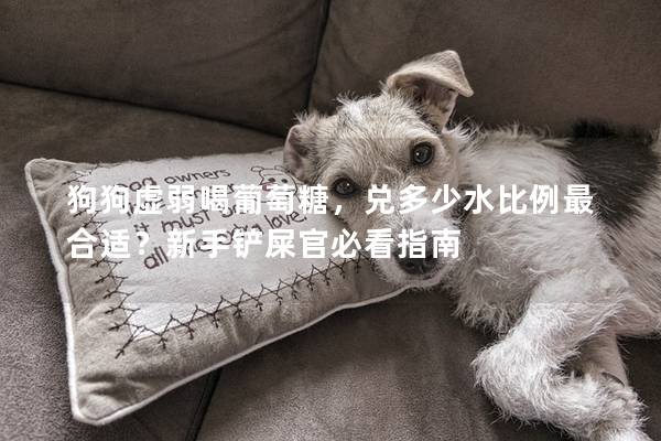狗狗虚弱喝葡萄糖,兑多少水比例最合适?新手铲屎官必看指南 狗狗虚弱喝葡萄糖,兑多少水比例最合适?新手铲屎官必看指南