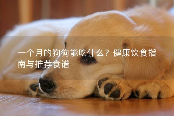 一个月的狗狗能吃什么？健康饮食指南与推荐食谱