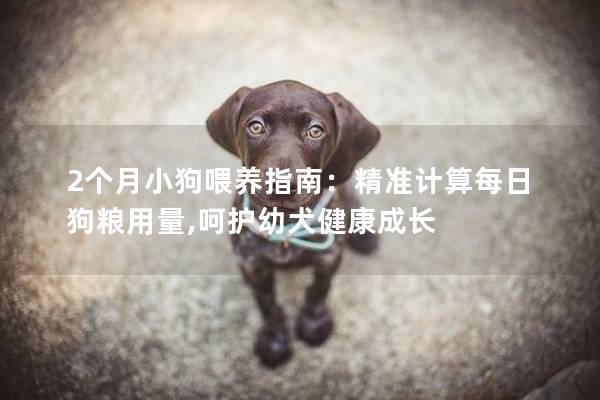2个月小狗喂养指南：精准计算每日狗粮用量,呵护幼犬健康成长