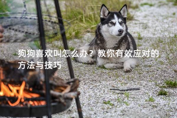 狗狗喜欢叫怎么办?教你有效应对的方法与技巧 狗狗喜欢叫怎么办?教你有效应对的方法与技巧