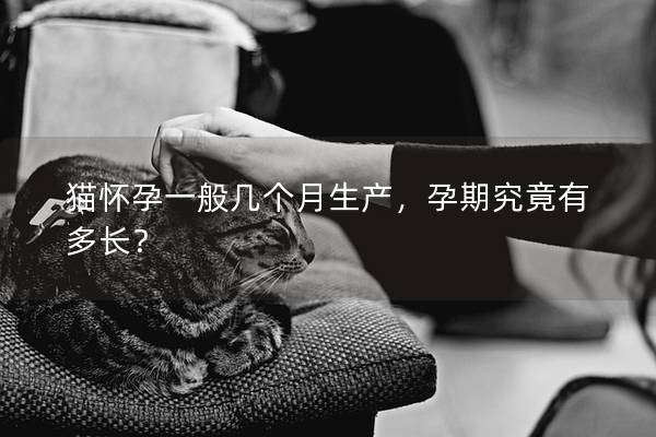 猫怀孕一般几个月生产,孕期究竟有多长? 猫怀孕一般几个月生产,孕期究竟有多长?