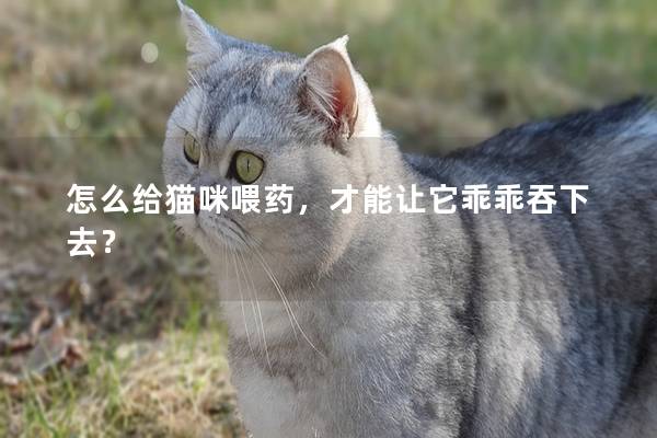 怎么给猫咪喂药，才能让它乖乖吞下去？