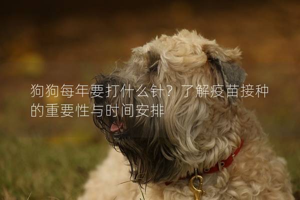 狗狗每年要打什么针?了解疫苗接种的重要性与时间安排 狗狗每年要打什么针?了解疫苗接种的重要性与时间安排