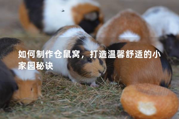 如何制作仓鼠窝，打造温馨舒适的小家园秘诀