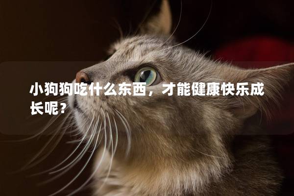 小狗狗吃什么东西，才能健康快乐成长呢？