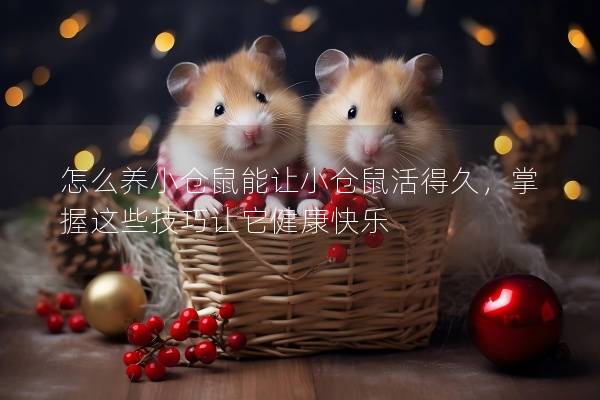 怎么养小仓鼠能让小仓鼠活得久，掌握这些技巧让它健康快乐