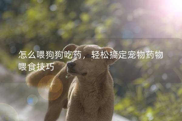 怎么喂狗狗吃药，轻松搞定宠物药物喂食技巧