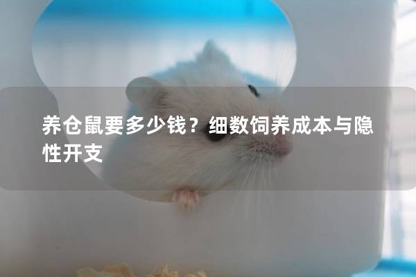 养仓鼠要多少钱？细数饲养成本与隐性开支