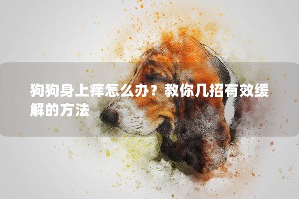 狗狗身上痒怎么办？教你几招有效缓解的方法