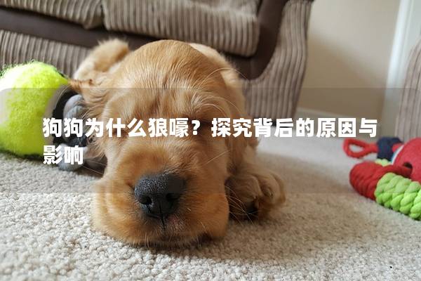 狗狗为什么狼嚎？探究背后的原因与影响