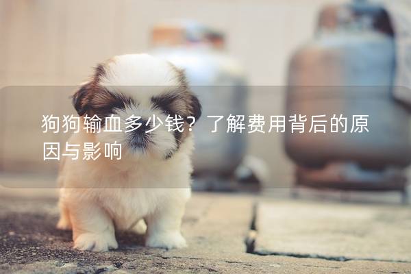 狗狗输血多少钱？了解费用背后的原因与影响