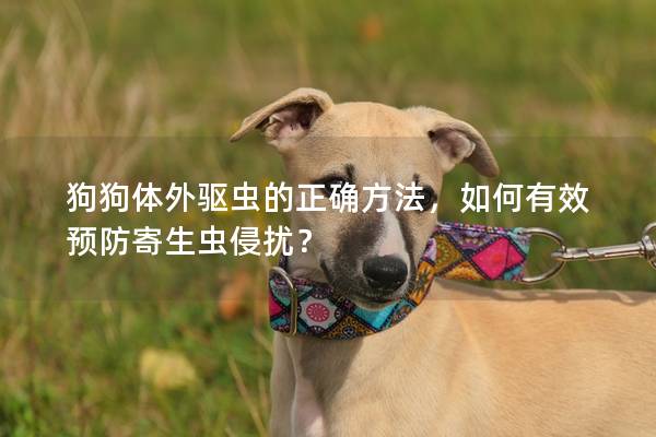 狗狗体外驱虫的正确方法,如何有效预防寄生虫侵扰? 狗狗体外驱虫的正确方法,如何有效预防寄生虫侵扰?