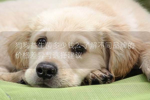 狗狗益生菌多少钱？了解不同品牌的价格差异与选择建议