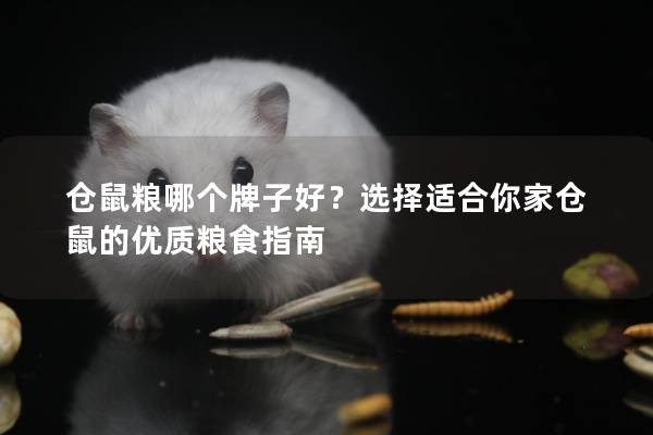 仓鼠粮哪个牌子好？选择适合你家仓鼠的优质粮食指南