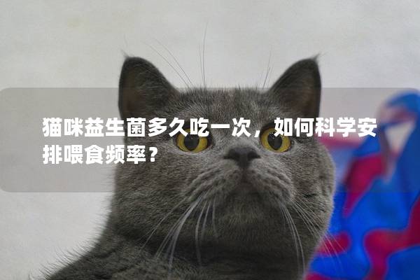 猫咪益生菌多久吃一次，如何科学安排喂食频率？