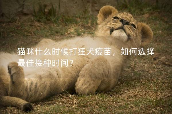 猫咪什么时候打狂犬疫苗，如何选择最佳接种时间？