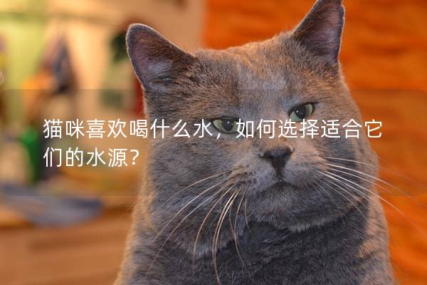猫咪喜欢喝什么水，如何选择适合它们的水源？