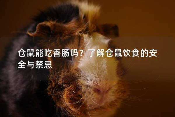 仓鼠能吃香肠吗？了解仓鼠饮食的安全与禁忌