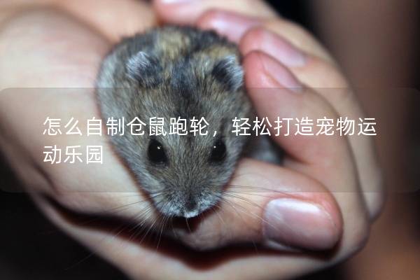 怎么自制仓鼠跑轮,轻松打造宠物运动乐园 怎么自制仓鼠跑轮,轻松打造宠物运动乐园