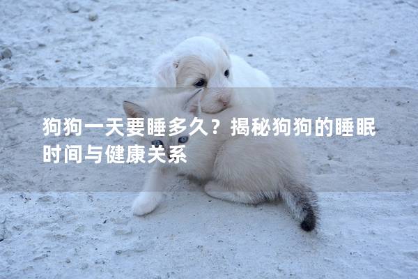 狗狗一天要睡多久？揭秘狗狗的睡眠时间与健康关系