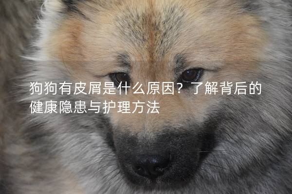 狗狗有皮屑是什么原因？了解背后的健康隐患与护理方法
