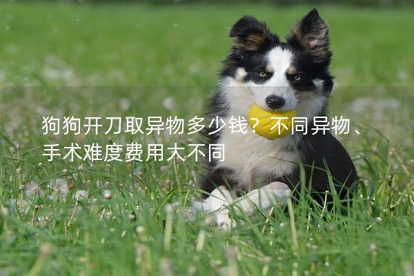 狗狗开刀取异物多少钱？不同异物、手术难度费用大不同